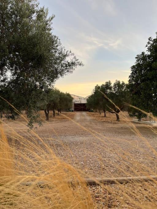 Quinta Da Alfarrobeira Peaceful Countryside Stay FAO Dış mekan fotoğraf