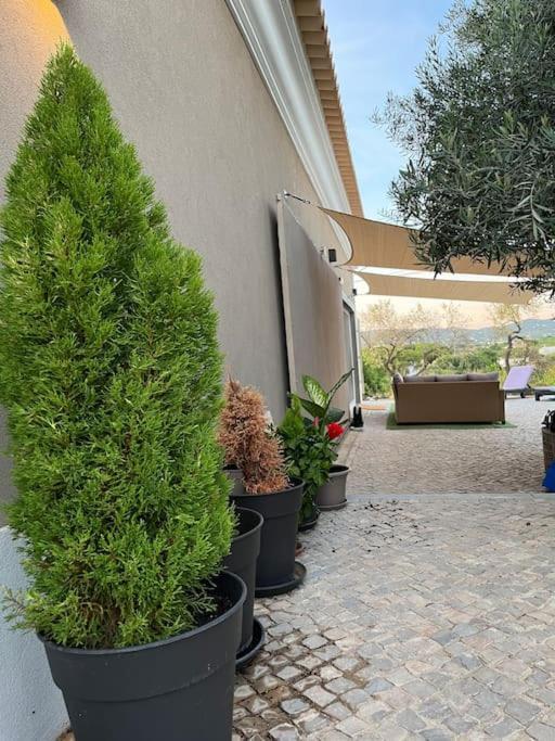 Quinta Da Alfarrobeira Peaceful Countryside Stay FAO Dış mekan fotoğraf