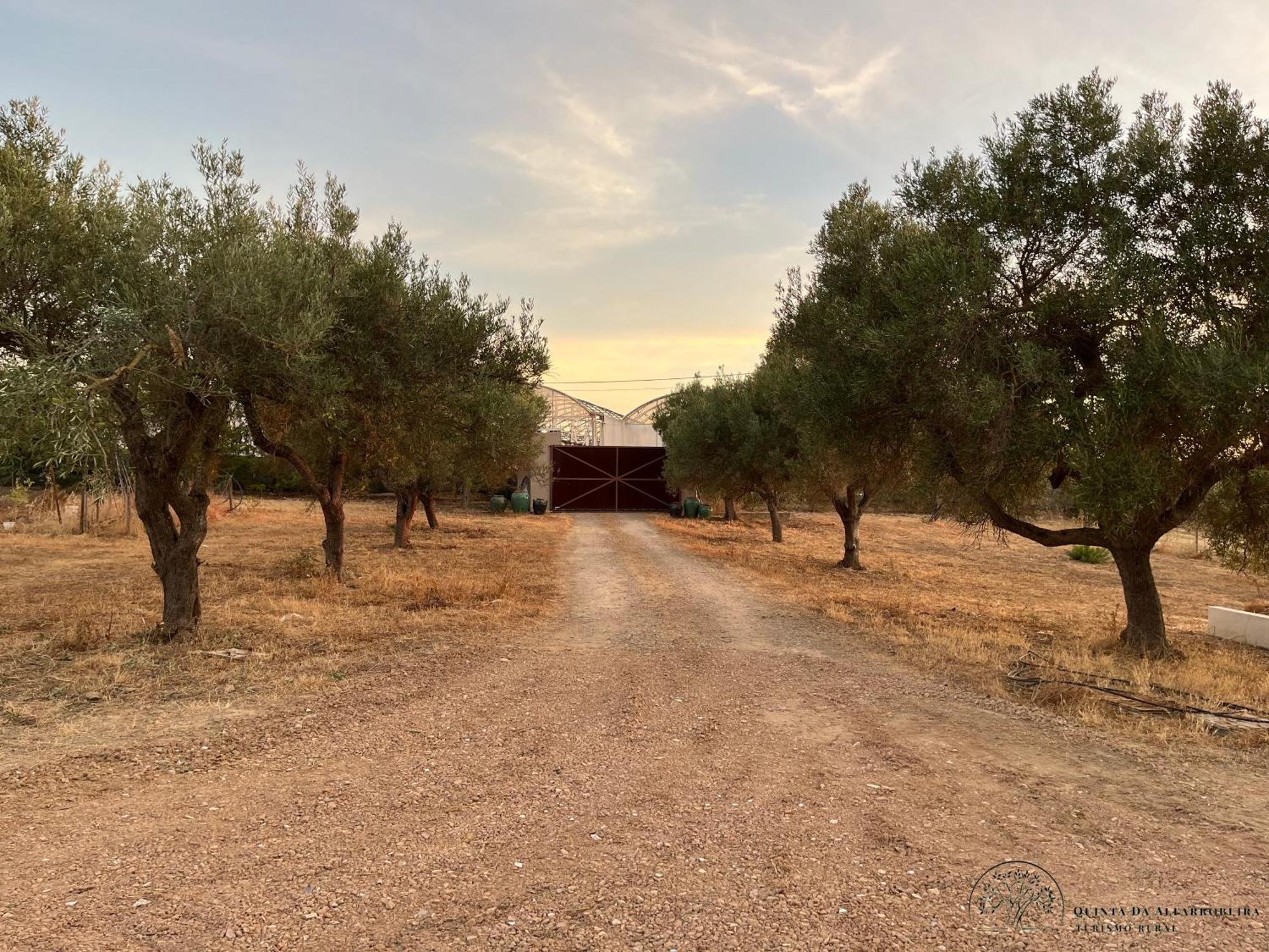 Quinta Da Alfarrobeira Peaceful Countryside Stay FAO Dış mekan fotoğraf